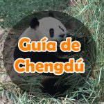 ¿Qué ver en Chengdú?