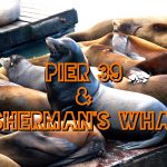 Pier 39 & Fisherman’s Wharf